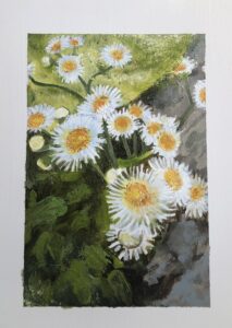 Daisy Weeds
5x7 Gouache on Paper